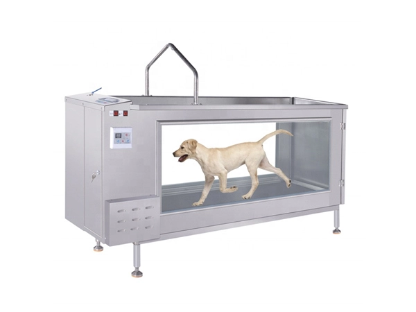 pet underwater treadmill